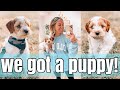 WE GOT A PUPPY! | BRINGING HOME OUR 8 WEEK OLD COCKAPOO!