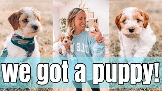 WE GOT A PUPPY! | BRINGING HOME OUR 8 WEEK OLD COCKAPOO!