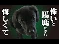 【マジでキレた】絶対に忘れられない！「公園での悔しい出来事」