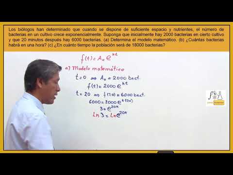 Video: La Formación De Una Colonia De Bacterias Se Describió Desde El Punto De Vista De Las Matemáticas Superiores