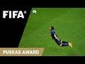 Robin van Persie Goal: FINALIST FIFA Puskas Award 2014