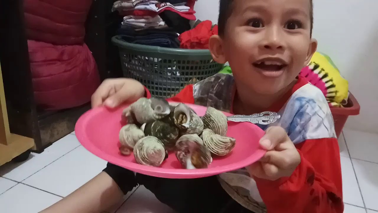 Seafood Siput Mata Lembu Youtube