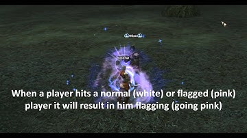 Lineage 2 PvP system Explained