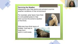 Plant and Animal Adaptation PowerPoint Presentation