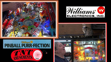 #1409 Williams BAD CATS Pinball Machine and it