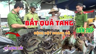 Download Lagu BẮT QUẢ TANG LIÊN TIẾP NHIỀU VỤ MUA BÁN ĐỘNG VẬT HOANG DÃ | Thái Phúc Hiền Tv MP3