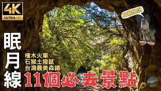 Indepth tour of Taiwan's Alishan Mianyue Line Railway in 2024