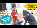 Anshu and Jerry taking a bath and having fun|well trained rottweiler|guard dog breed.