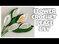 Easy crochet peace lilies by andrei crafts