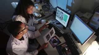 Team Brain Blast Launch UMD Video