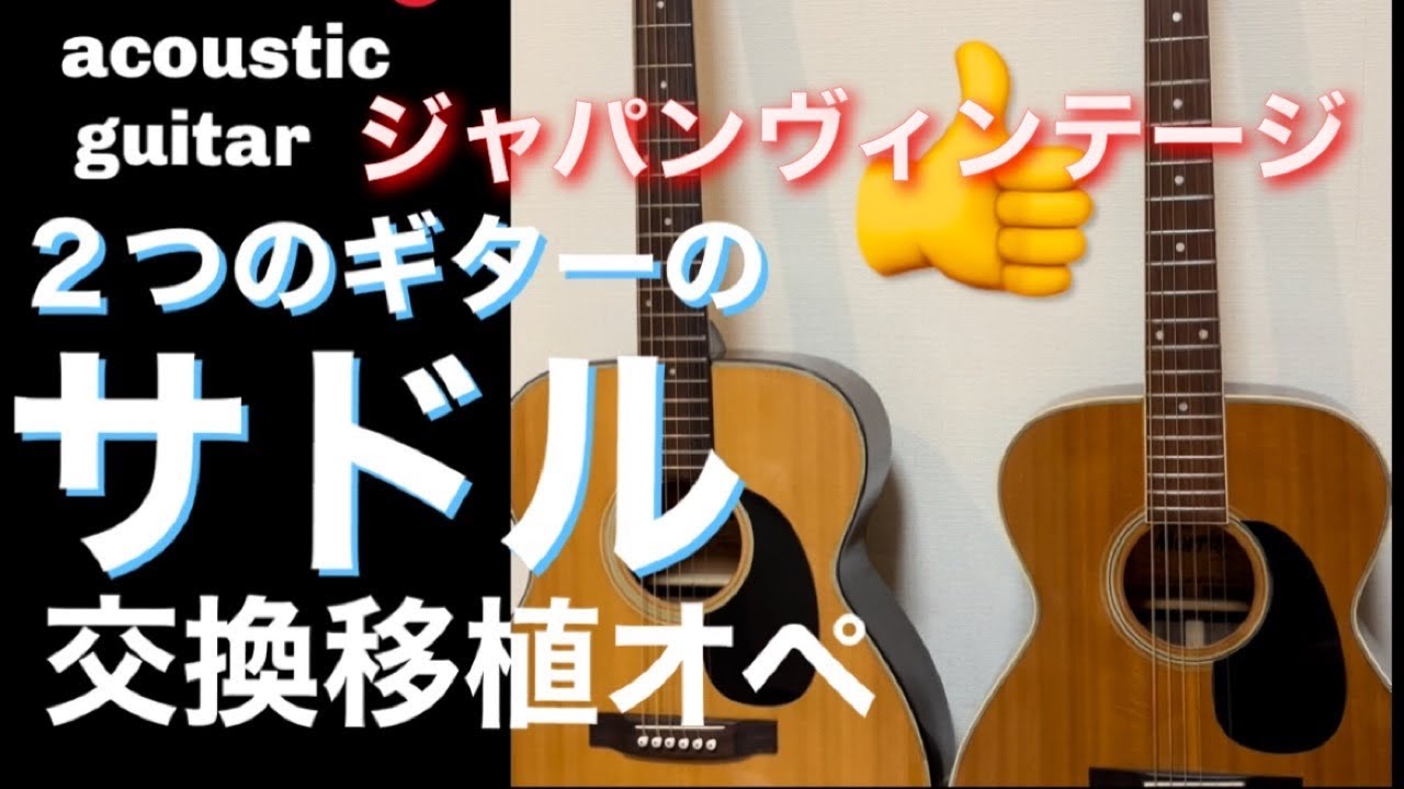 アコギ初心者向け】アコギを弾こう。2つのジャパンヴィンテージ