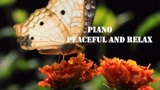 Peaceful Piano Among Blooming Spring🌷  Flowers🌸 Soft Piano Music with Morning Flower Garden🌿✨ Views screenshot 2