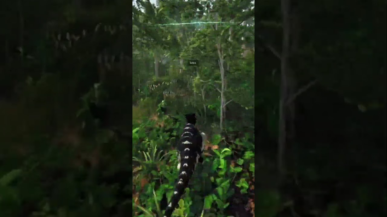 Bonkitis infects me deeply 