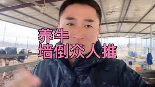 在模糊现在就是墙倒众人推了