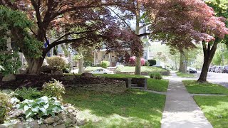 Walk to Buy Milk and Wander through the Charming Lanes of an Old Victorian American Neighborhood