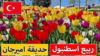 The most beautiful park in Istanbul | Emirjan Park Tulip Festival