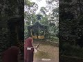 Di ragunan? ada apa saja ya #kebunbinatang #ragunanzoo #wisataindonesia