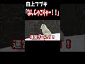 白上フブキ「なんじゃこりゃー！！」【ホロライブ切り抜き/白上フブキ/戌神ころね/猫又おかゆ】#shorts