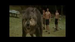 Twilight Saga - Pumped Up Kicks