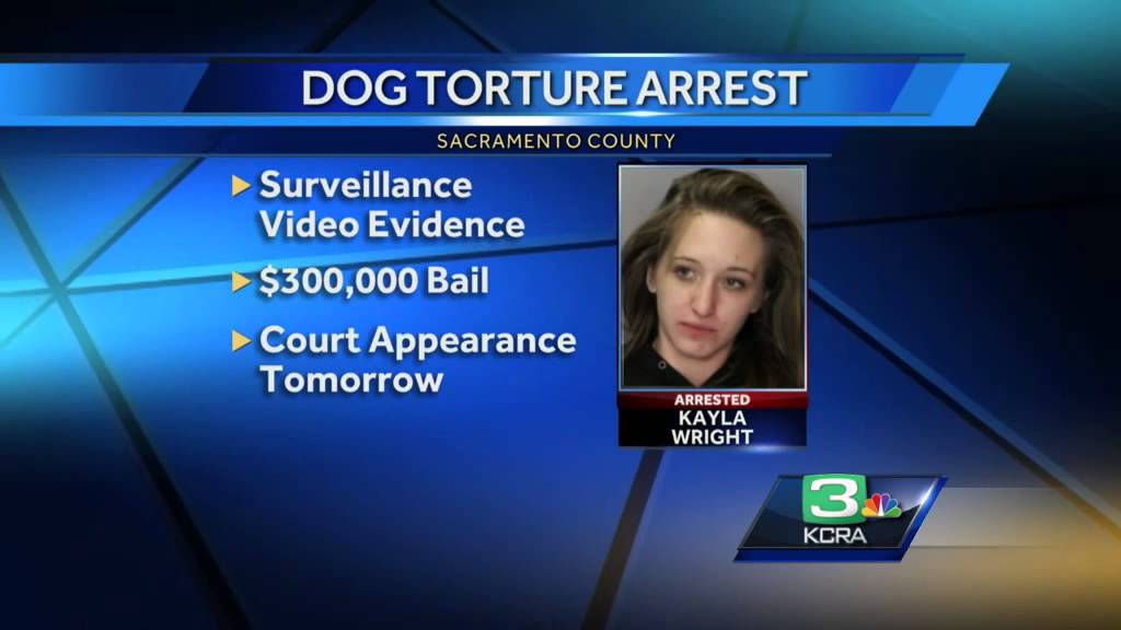 Carmichael woman arrested for animal cruelty - YouTube