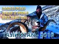 Marco Polo sheep and Pamir Ibex hunt, Tajikistan 2019