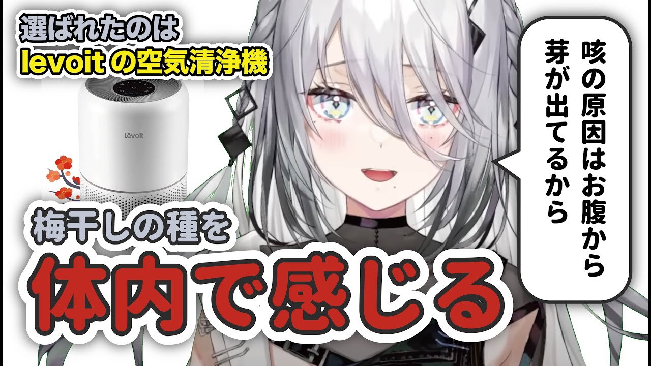【切り抜き】ソフィアちゃんが空気清浄機を購入した理由がおもしろすぎる...【にじさんじ/ソフィア・ヴァレンタイン/Sophia Valentine/ソフィア】