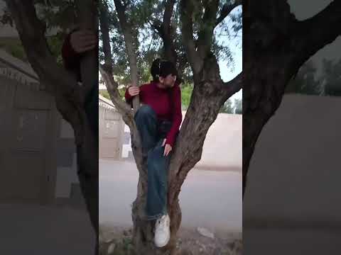 الوضع عنا بس نطلع سيران رنوم طلعت عالشجرة ومعاد عرفت تنزل فولو ابلور للاستمرار
