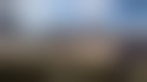 Rust (Bow vs Scientist and Mace)