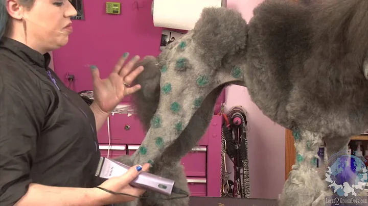 Creative Pet Styling with Lori Craig how to add co...