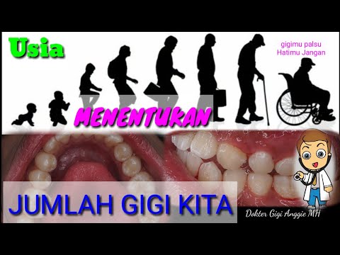 Video: Berapa banyak geraham yang dimiliki manusia?