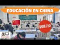 🔴 LO PEOR QUE LE PASÓ A HAOYANG EN LA ESCUELA CHINA