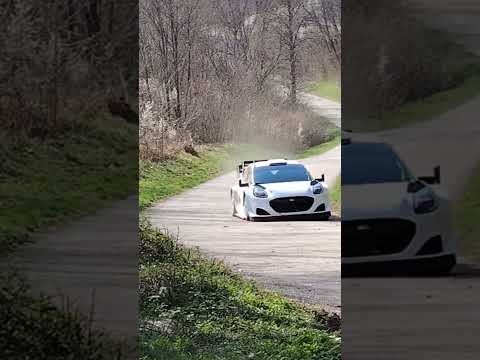WRC PET Ford Puma Croatia Vodena Draga Jump