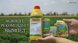 Стимулятор роста Вымпел | Agrolife рекомендует(, 2017-07-01T07:52:44.000Z)