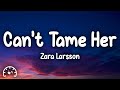Zara Larsson - Can