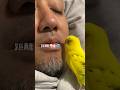 この鳥距離感バグってます