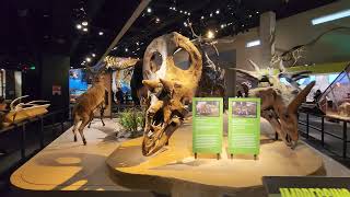 Perot Museum of Nature and Science Dallas Tour