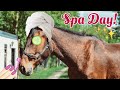 SPA DAY with my HORSE!?