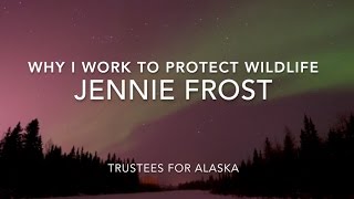 Why I Work To Protect Wildlife