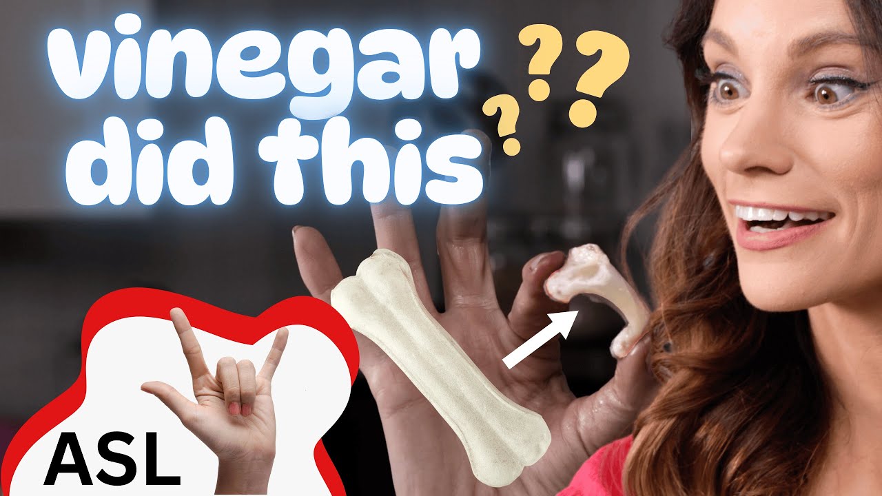 Emily's Science Lab - Rubber Bone - Vinegar Science Experiment (ASL ...