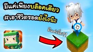 🌍 Mini World: เพียงบล๊อกเดียว (One Block) #1