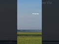 Parachuter #reels #parachute #aircraft #skydiver #skydiving #hanggliding #basejump
