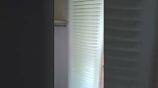West Mound Apartments - 3719-2A (1 Bedroom)