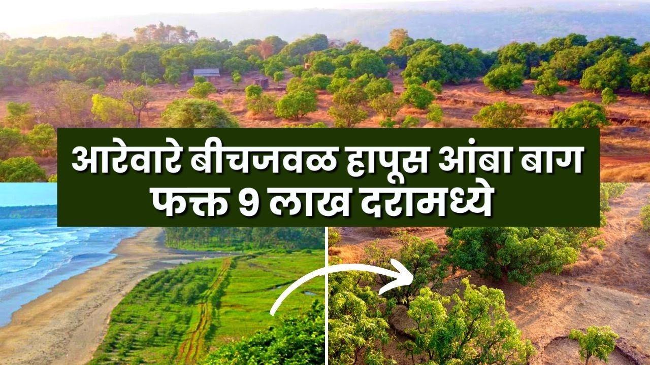 आरे वारे बीचजवळ हापूस आंबा बाग विकणे आहे