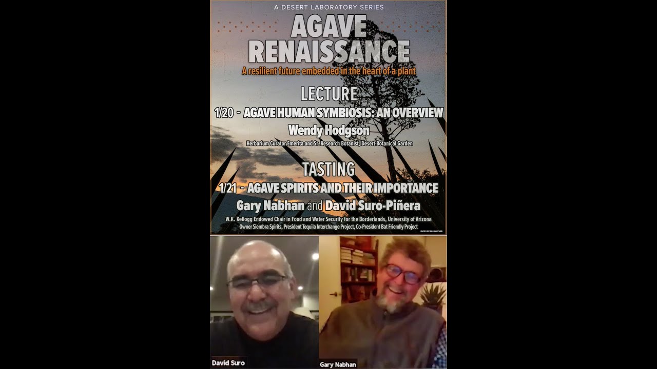 Tasting: Overview of Agave Spirits and Their Importance