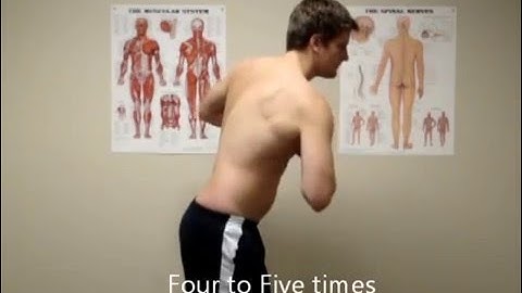 Standing trunk rotation exercise