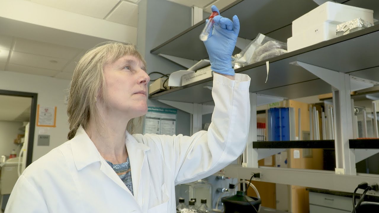 Battling Superbugs cu boulder psychology