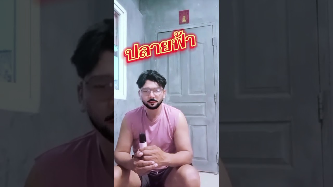 ปลายฟ้า..ต๋องผักไห่..