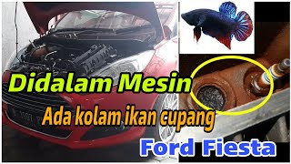 Cara Bersihkan Throttle Body Mobil Ford Fiesta