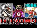 【ジョーカー2P縛りプレイ】#総集編　レベル1単騎で真のチャンピオンになってみる。【ドラクエモンスターズゆっくり実況】