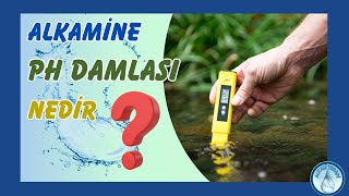 Alkamine Ph Damlası Nedir?
